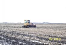 inTheField