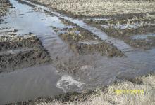 inTheField