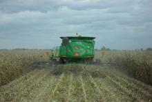 inTheField