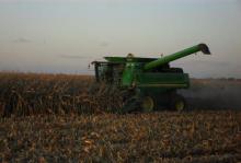 inTheField