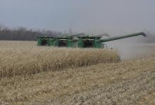 inTheField