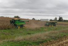inTheField