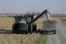 inTheField
