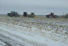 inTheField