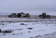 inTheField