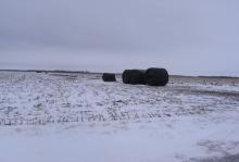 inTheField