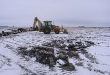 inTheField